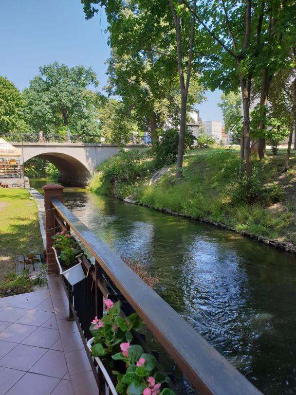 Riverside view near Kamienica Górna 7